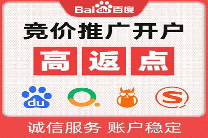 百度网络推广实战技巧：案例解析，让广告投放更精准
